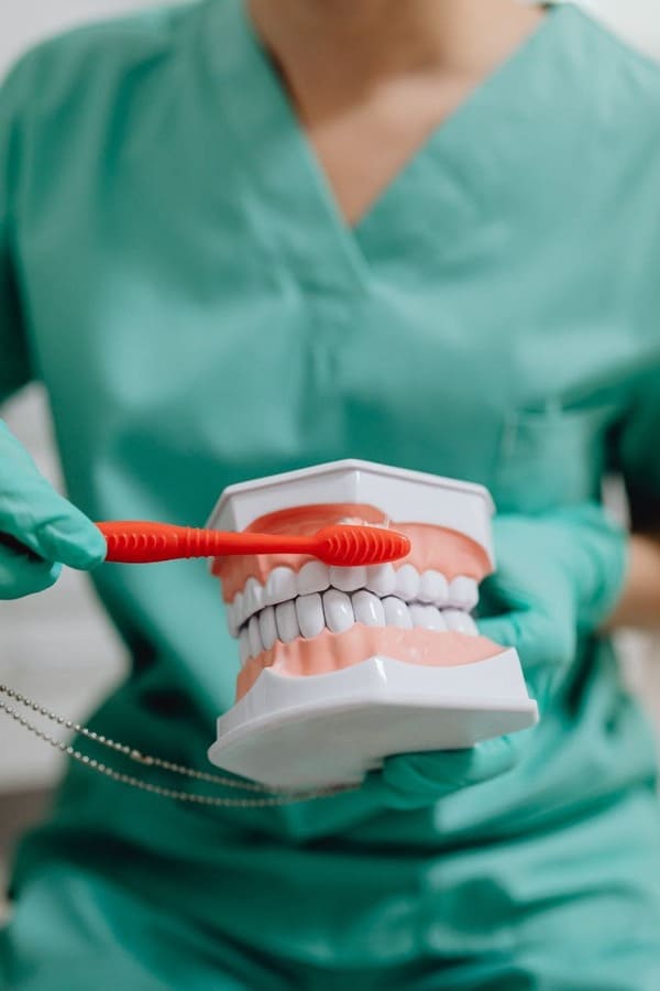 Profesional con uniforme verde cepillando una maqueta de dentadura con un cepillo rojo